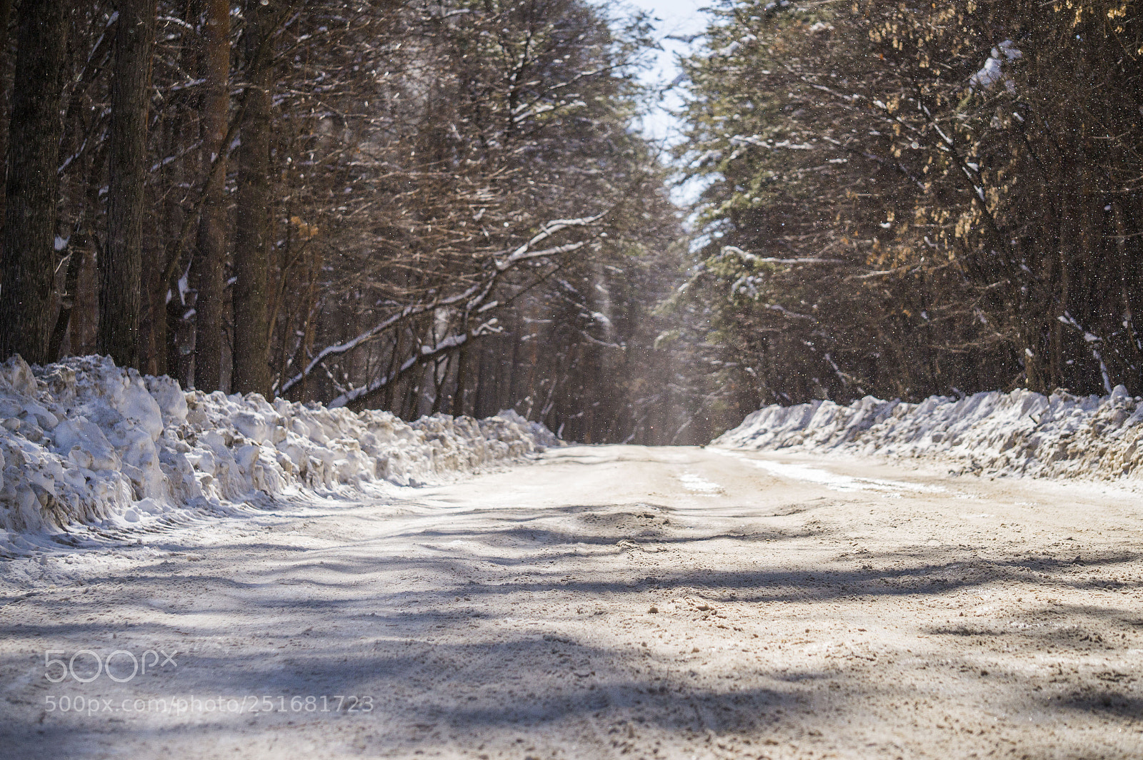 Sony Alpha a3500 sample photo. Ufa forest photography