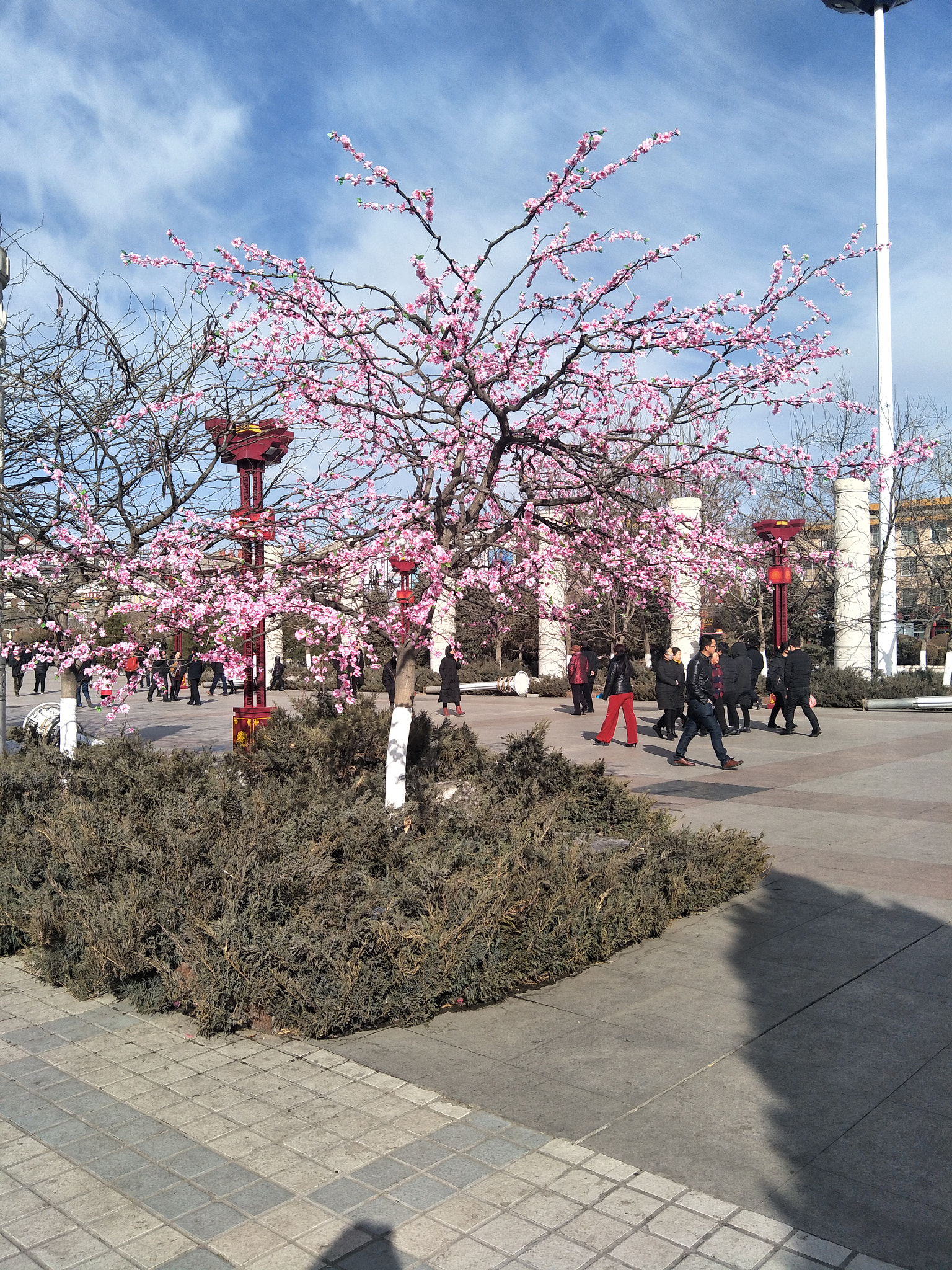 OPPO R9ST sample photo. 春暖花开 photography