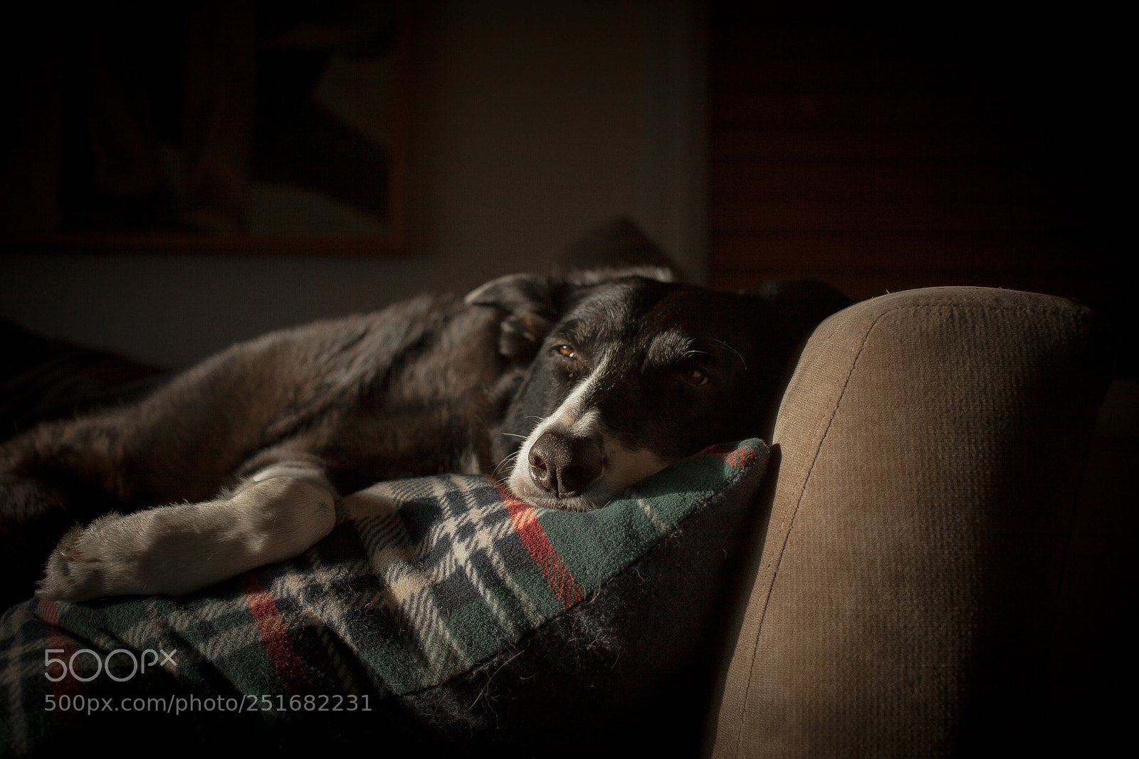 Canon EOS 5D Mark II sample photo. Old man nap photography