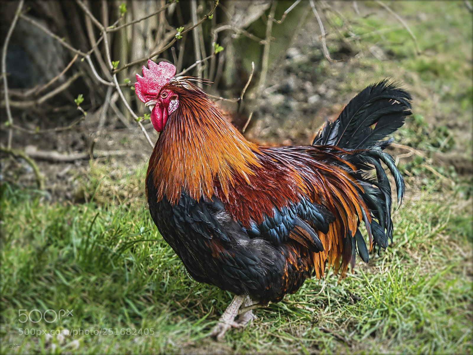 Olympus OM-D E-M1 Mark II sample photo. Old john photography