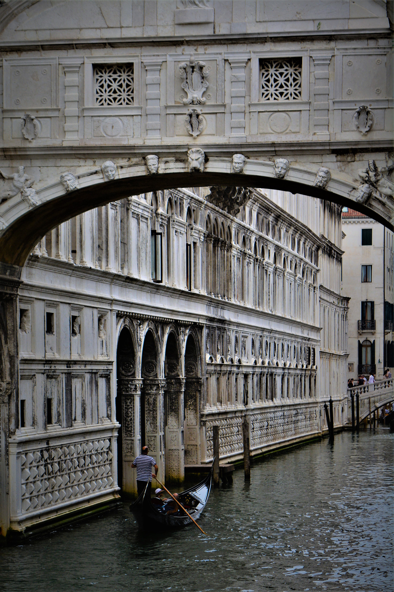 Nikon D7100 sample photo. () photography