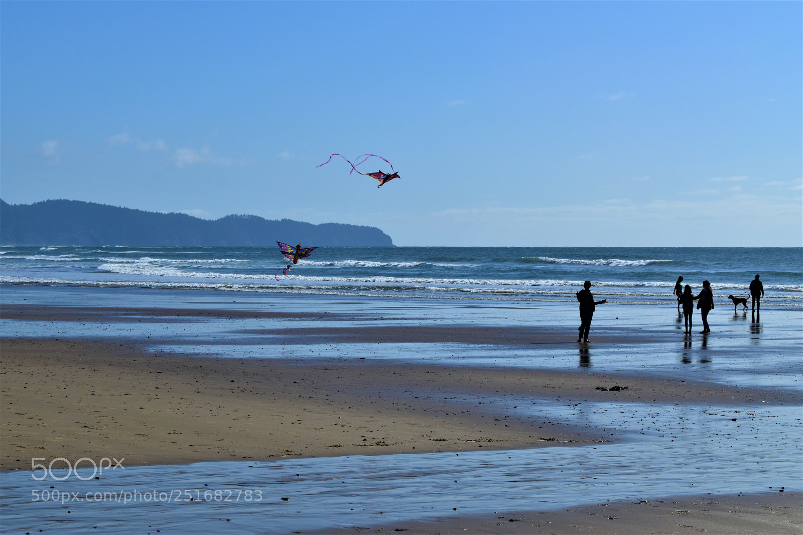 Nikon D5500 sample photo. Oregon coast photography