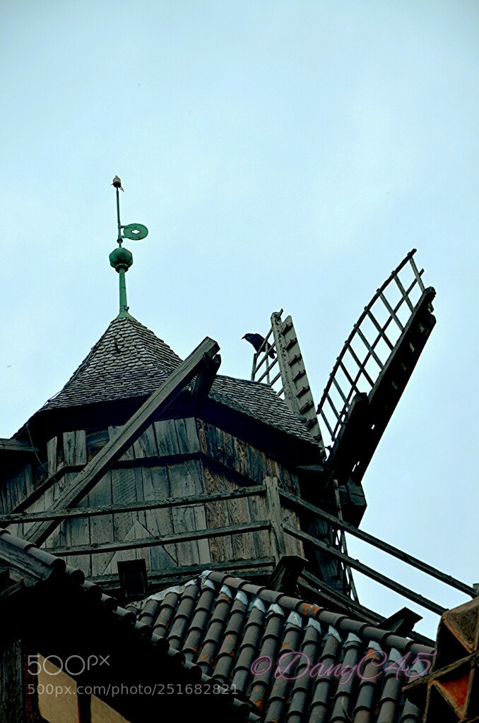 Nikon D5100 sample photo. Alsace  (28) photography