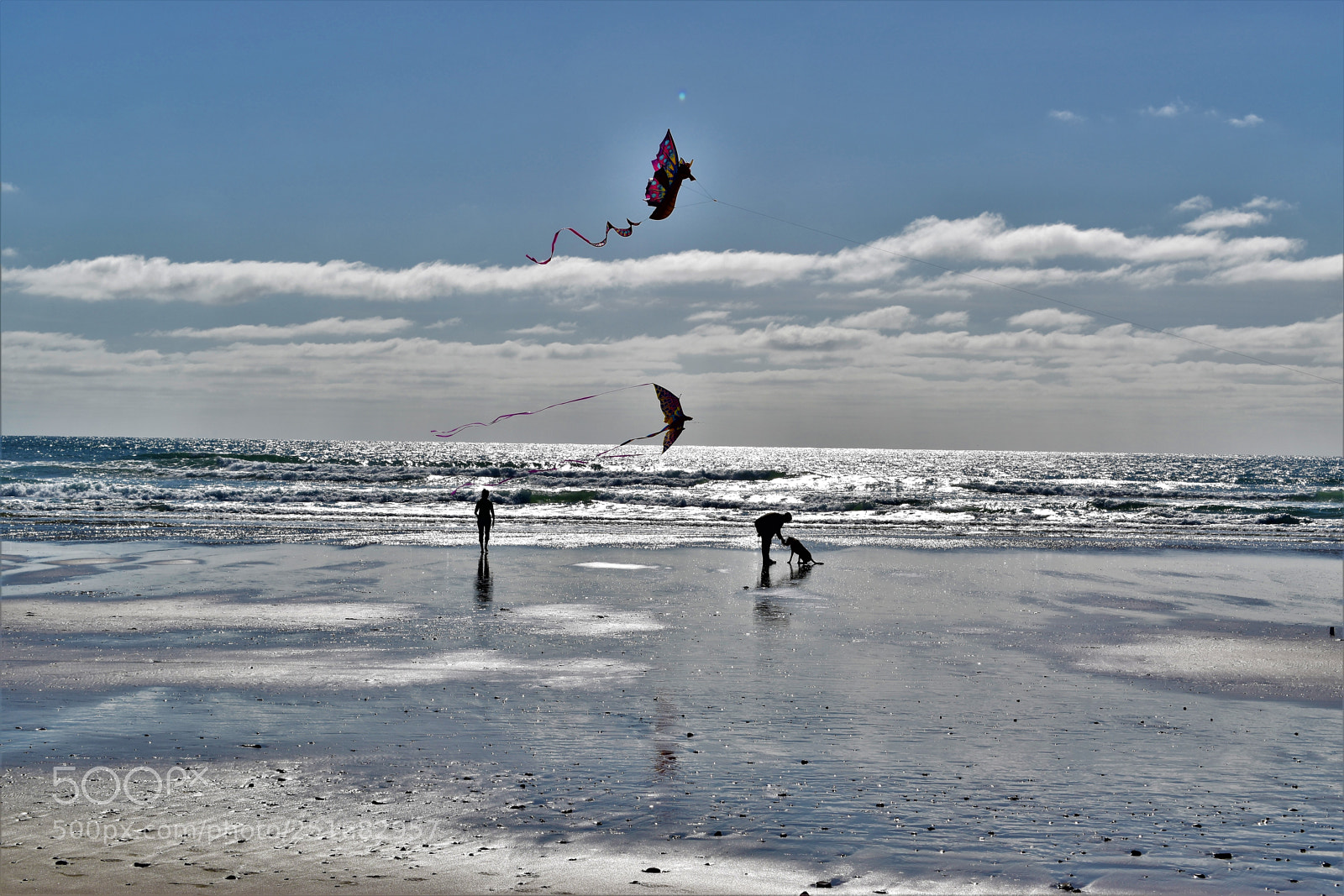 Nikon D5500 sample photo. Oregon coast photography