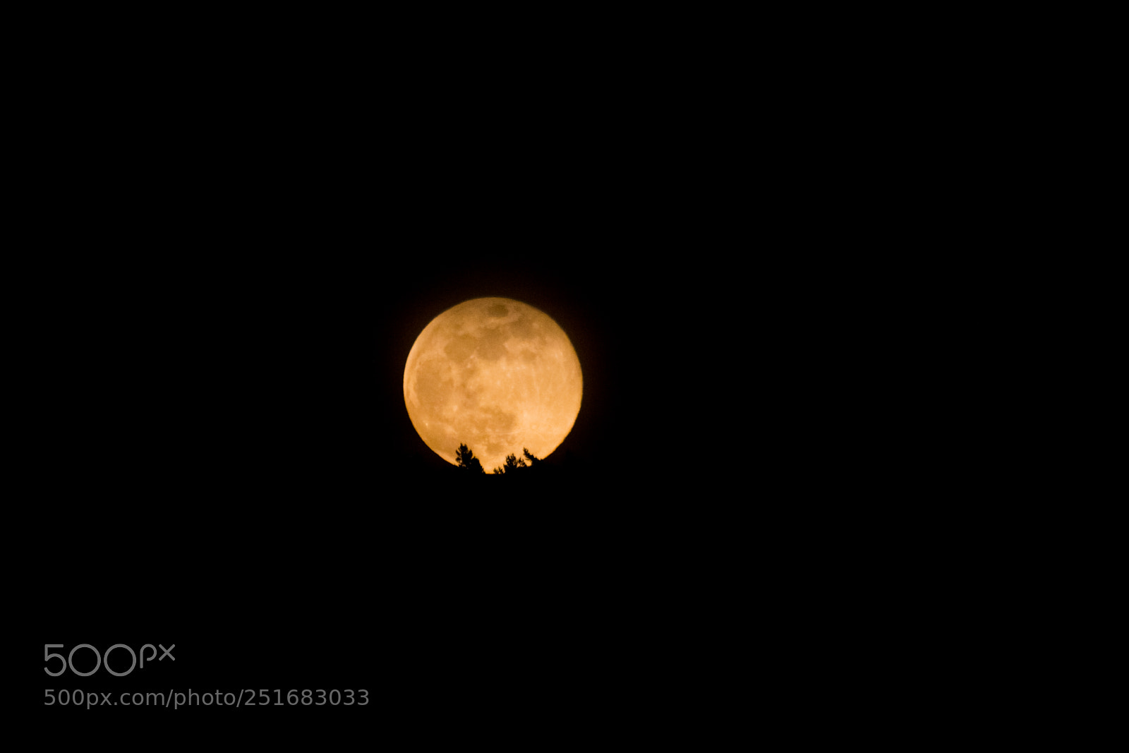 Canon EOS 60D sample photo. When the moon rises photography