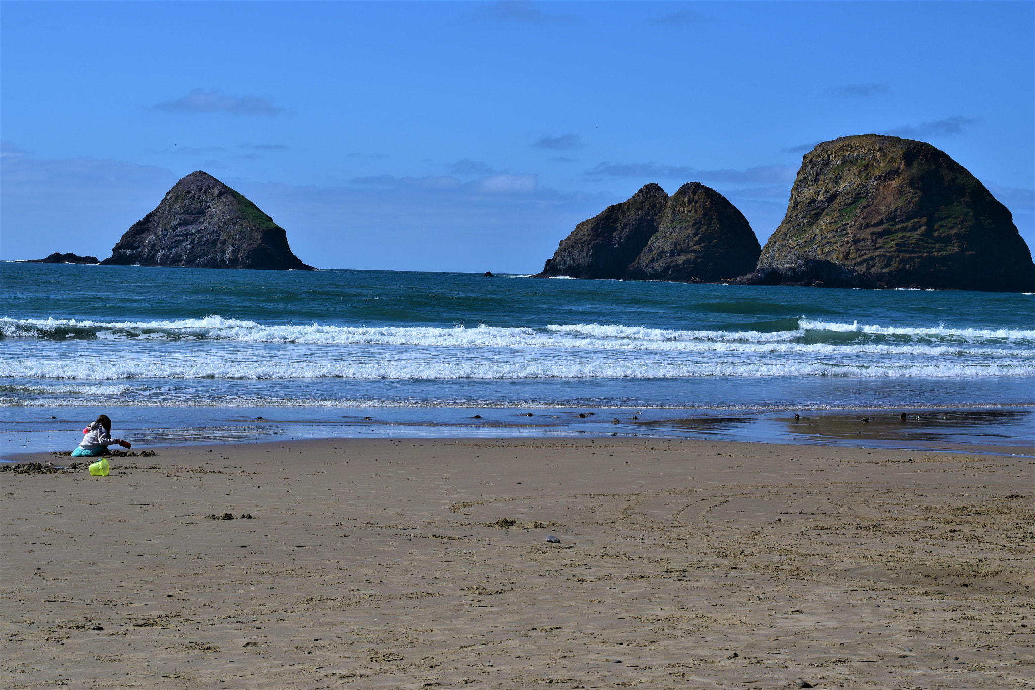 Nikon D5500 + Nikon AF-S Nikkor 50mm F1.8G sample photo. Oregon coast photography