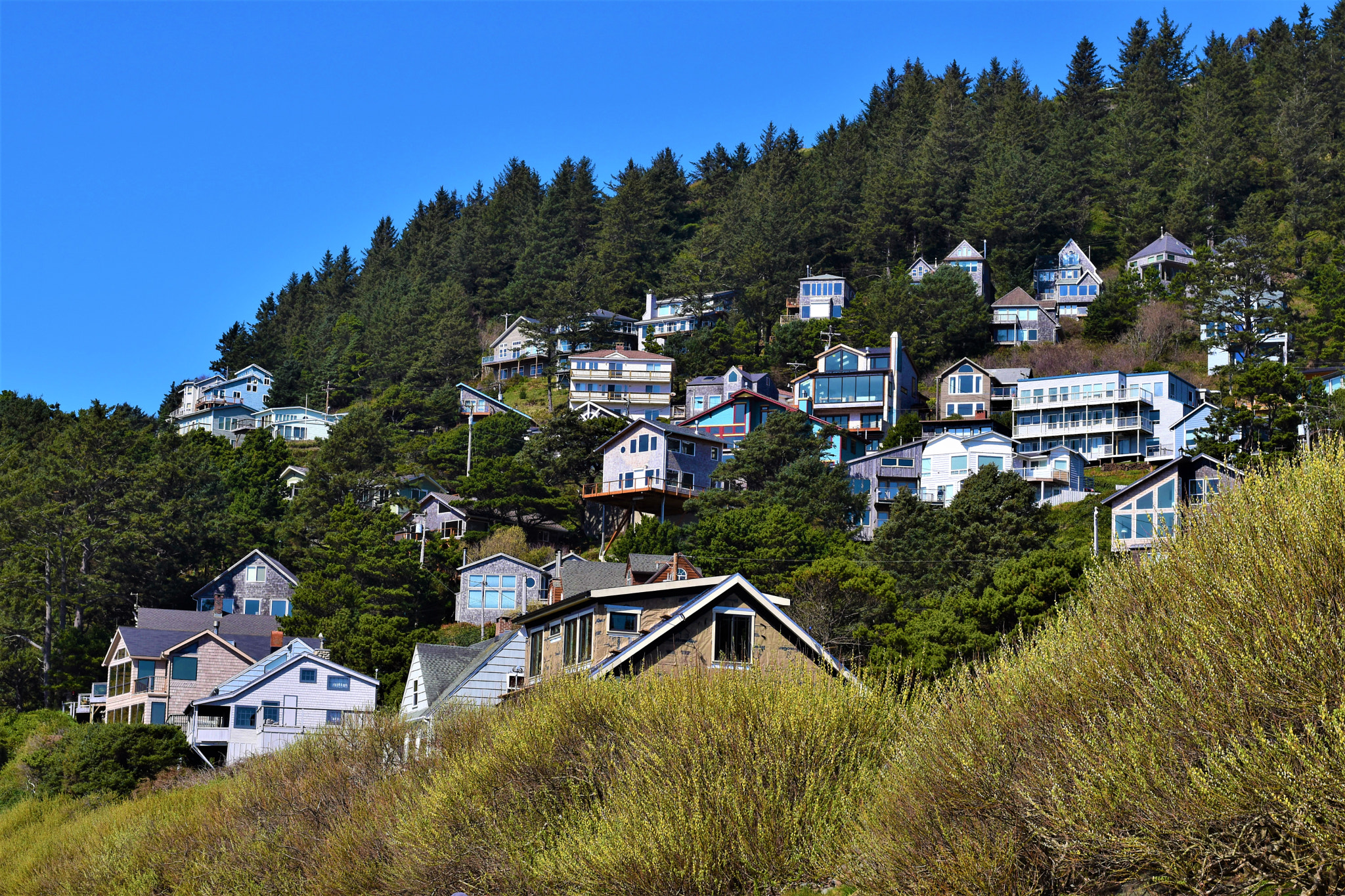 Nikon D5500 + Nikon AF-S Nikkor 50mm F1.8G sample photo. Oregon coast photography
