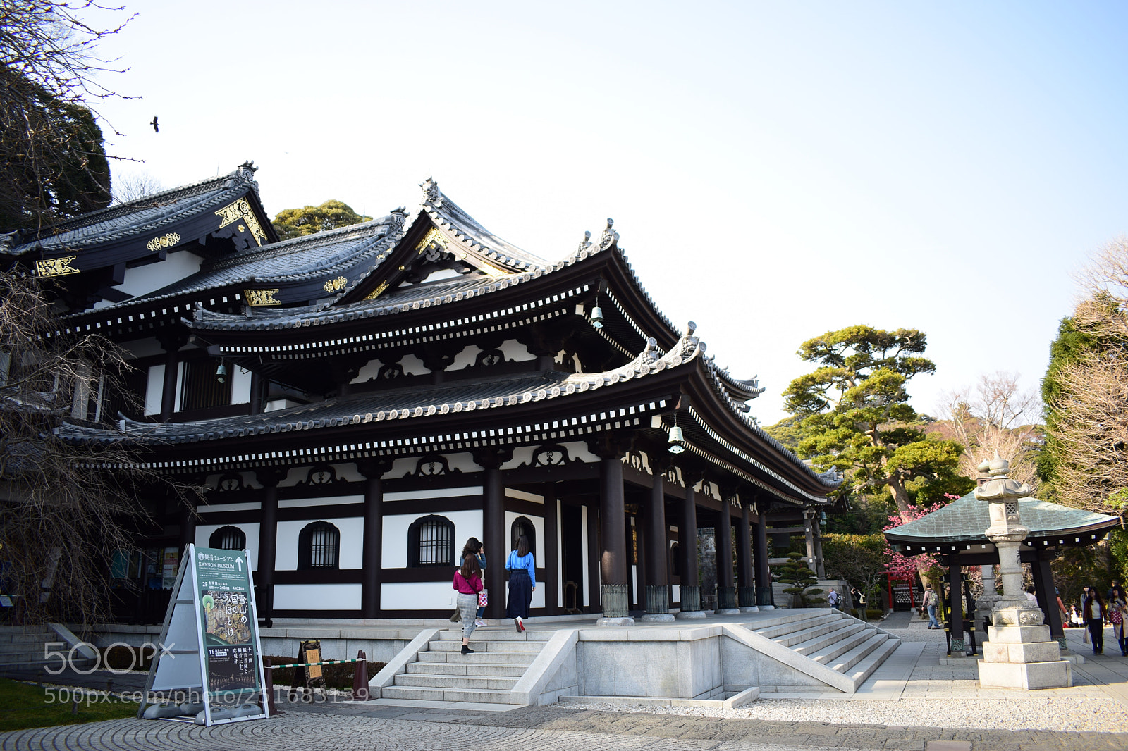 Nikon D5300 sample photo. Nice architecture in japan. photography