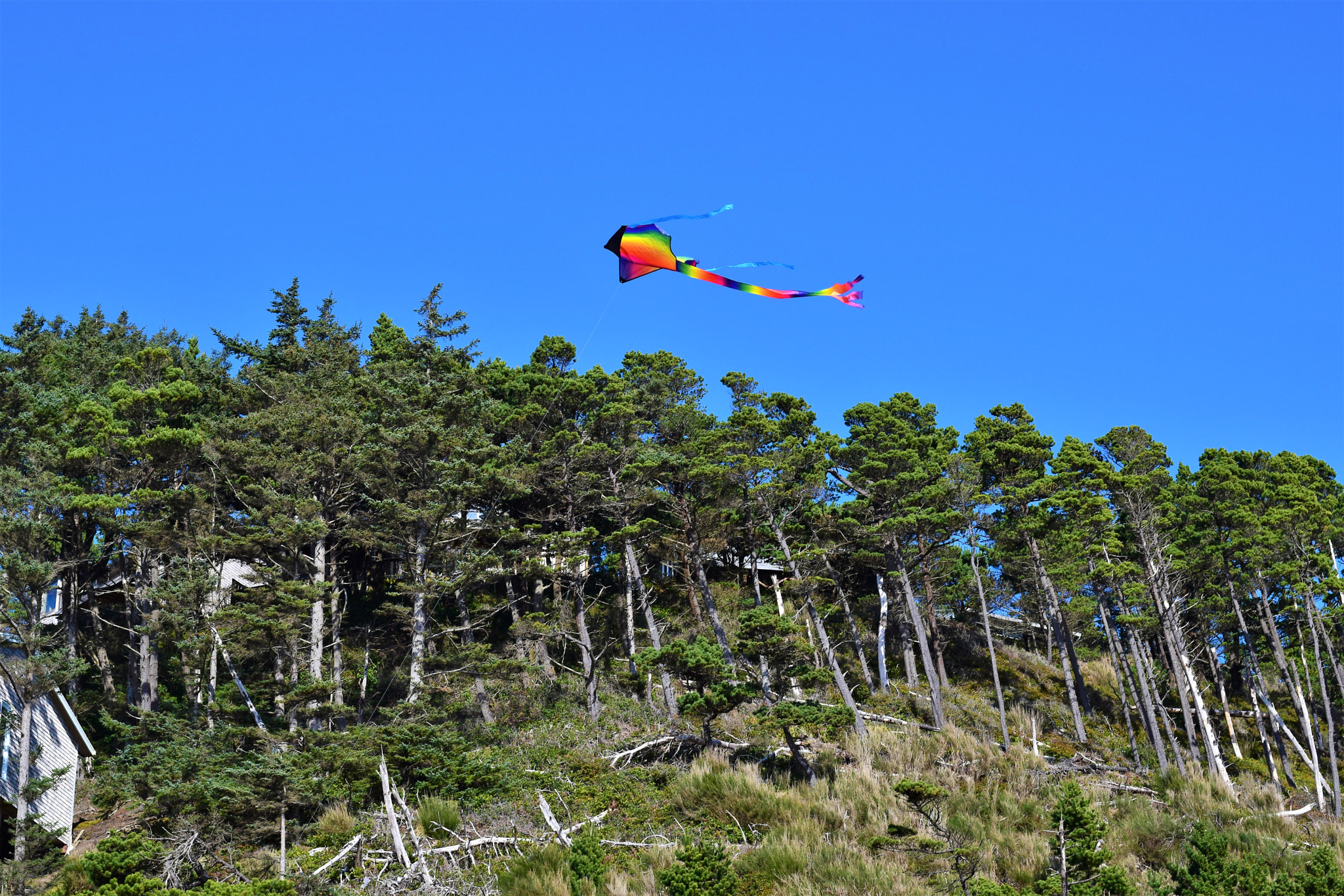 Nikon D5500 + Nikon AF-S Nikkor 50mm F1.8G sample photo. Oregon coast photography