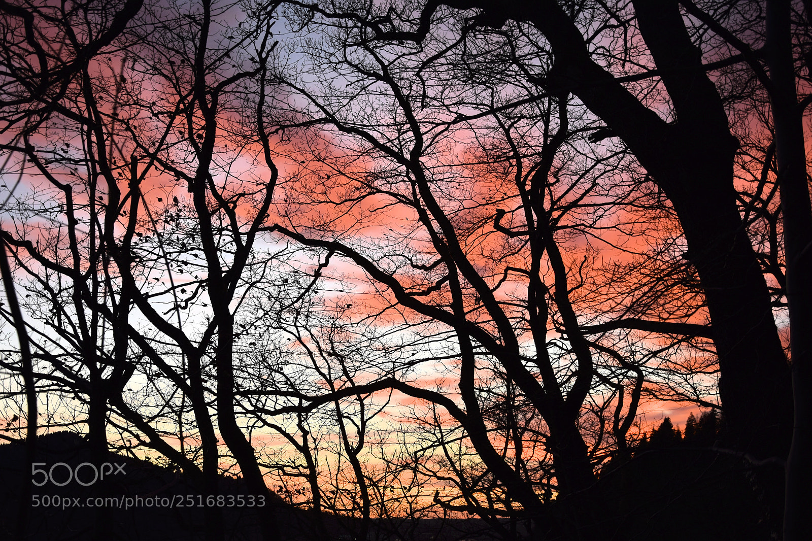 Nikon D3300 sample photo. Silhouette photography