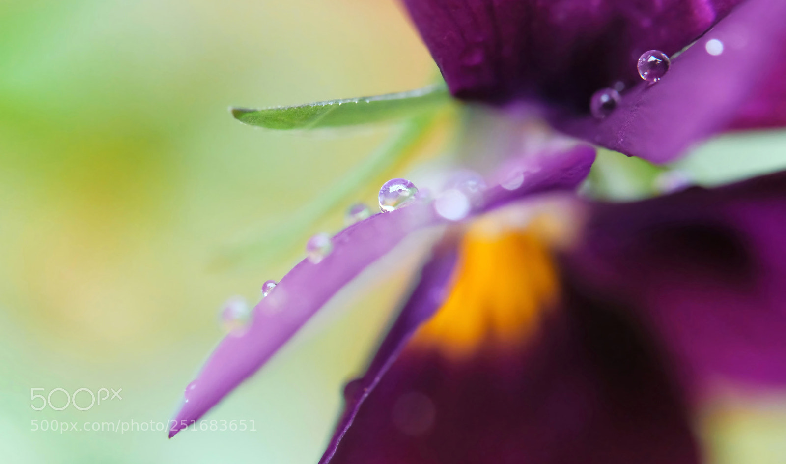Fujifilm X-H1 sample photo. Water drops photography