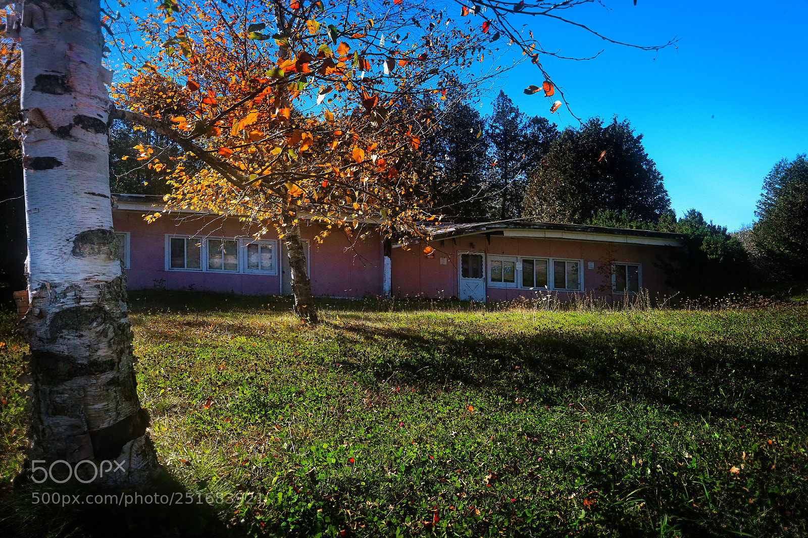 Canon EOS-1D X sample photo. Abandoned dwellings photography