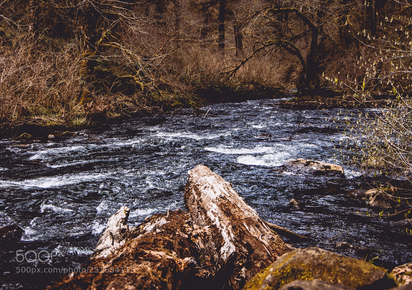 Pentax K-5 sample photo. Rapids photography