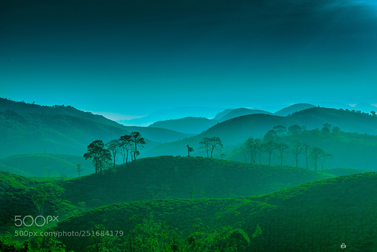 Sony a7R II sample photo. Vagamon,  kerala photography