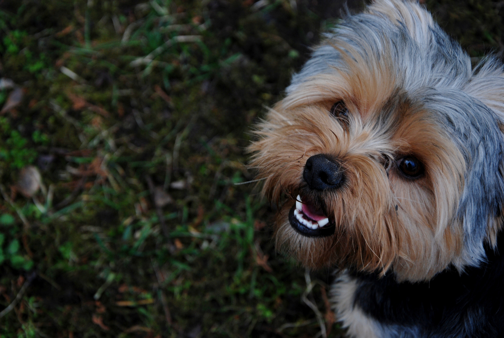 Nikon D80 sample photo. Yorkshire photography