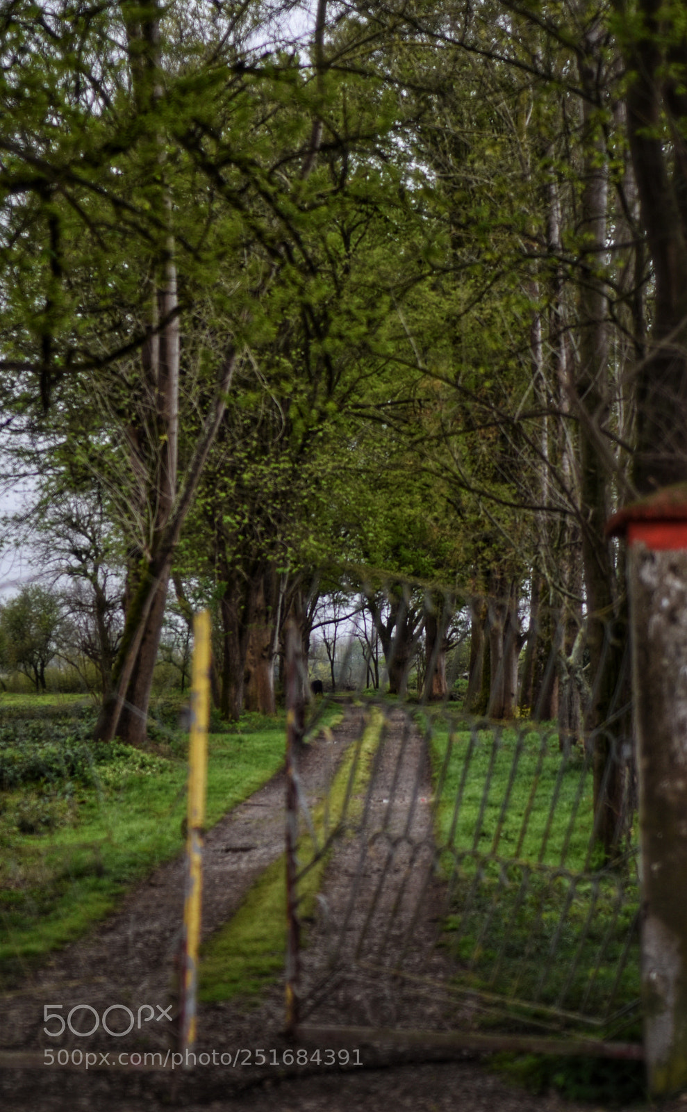 Nikon D5500 sample photo. The gate are defenses photography