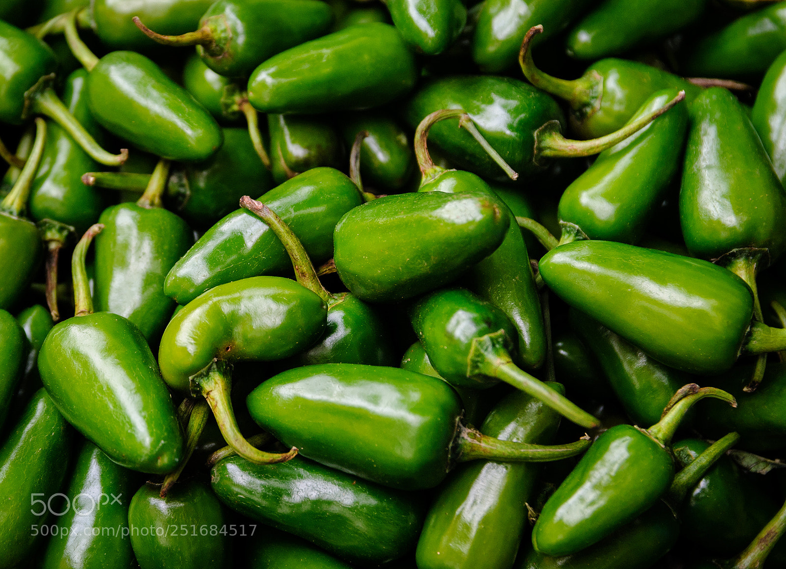 Nikon D300 sample photo. Chilies photography