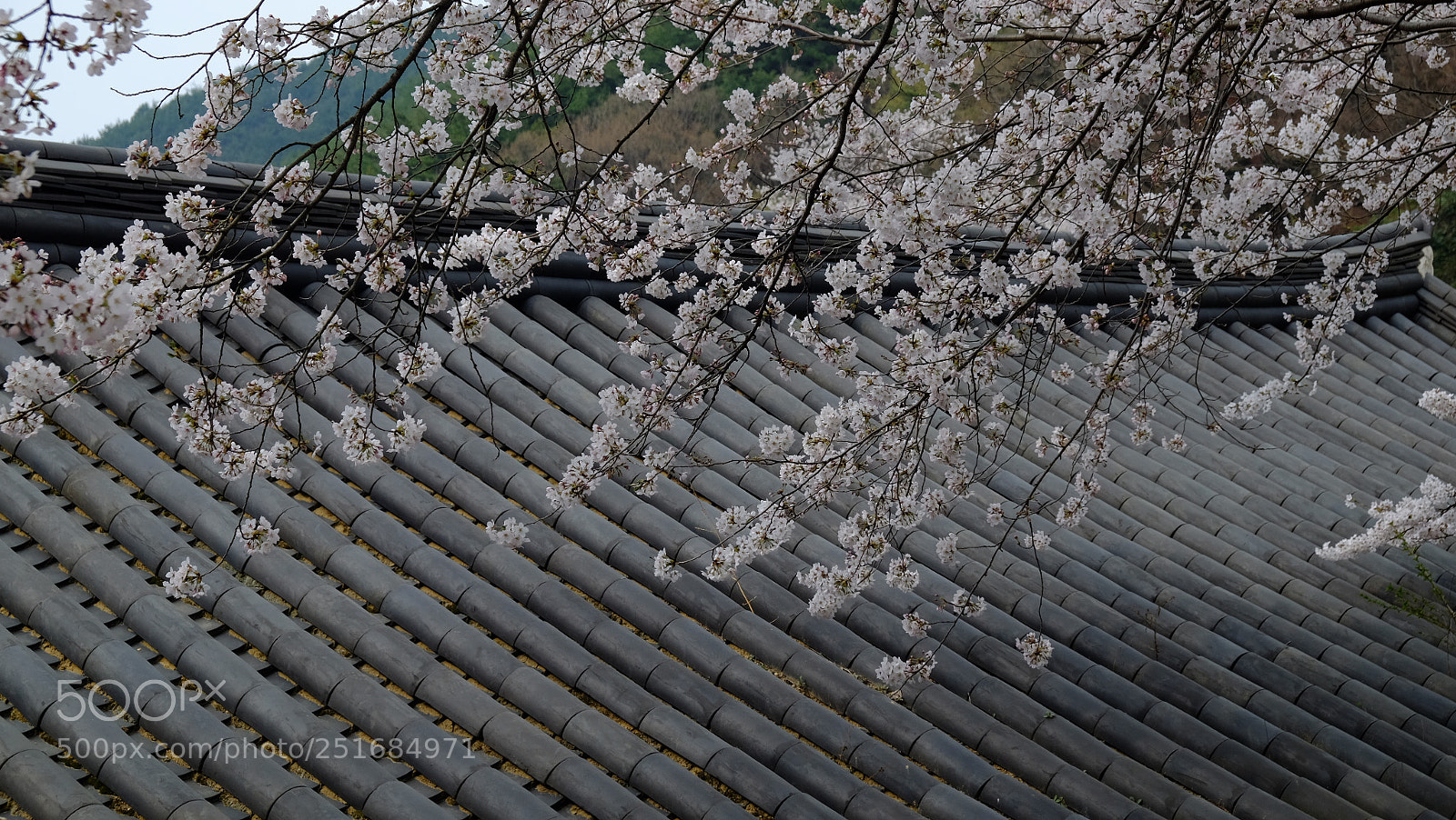 Fujifilm X-E2 sample photo. Dscf photography