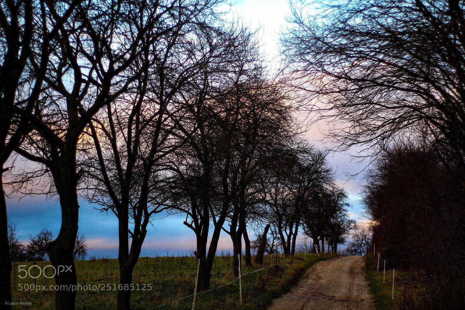 Canon EOS 700D (EOS Rebel T5i / EOS Kiss X7i) sample photo. Walking to the night  photography
