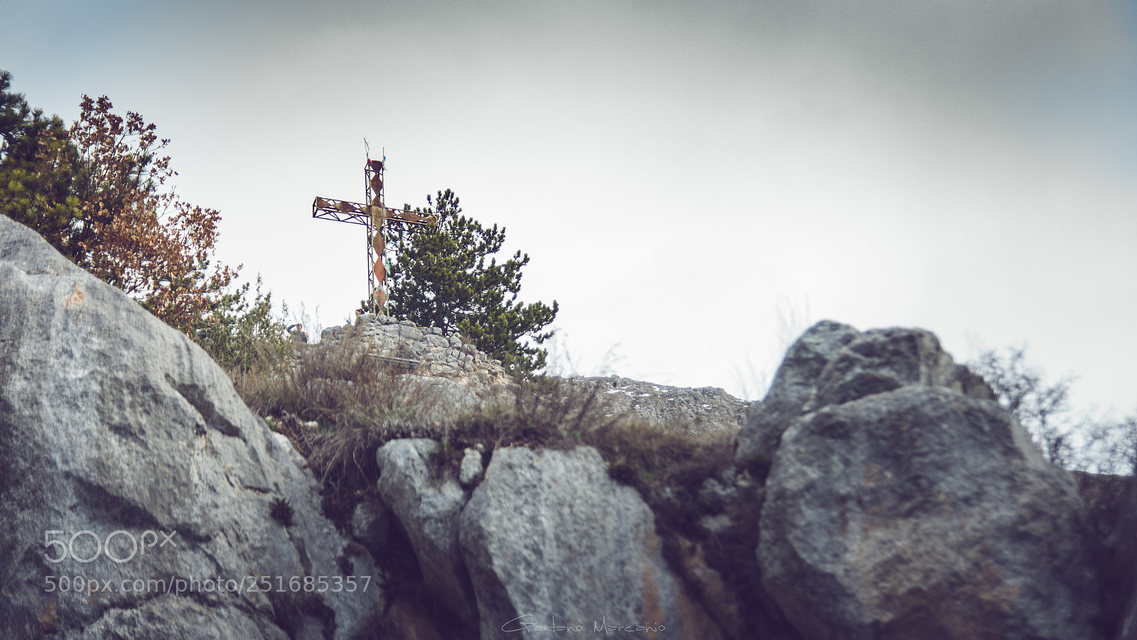 Nikon D7200 sample photo. Untitled photography