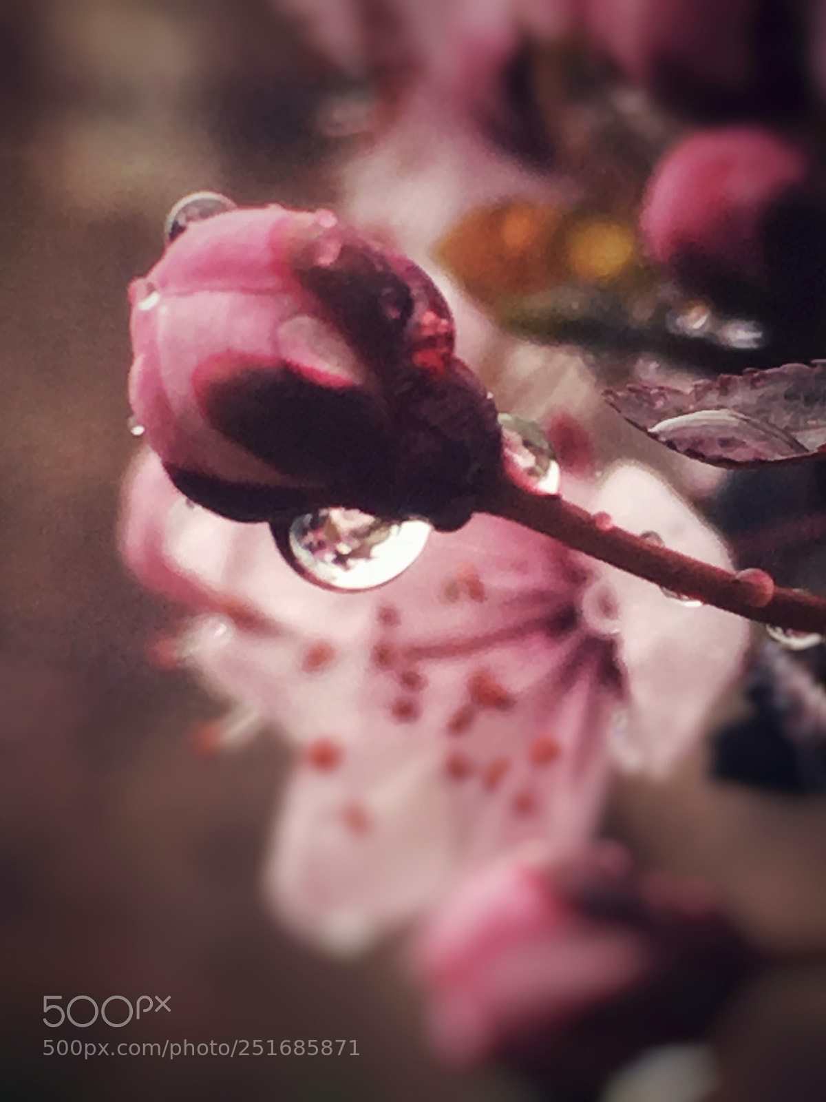 Apple iPhone 6s sample photo. Untitled photography
