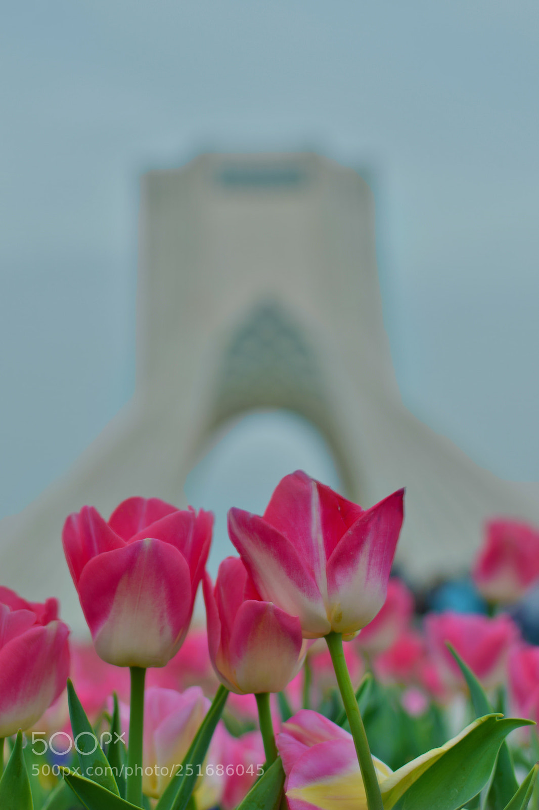 Nikon D5300 sample photo. Azadi tower photography