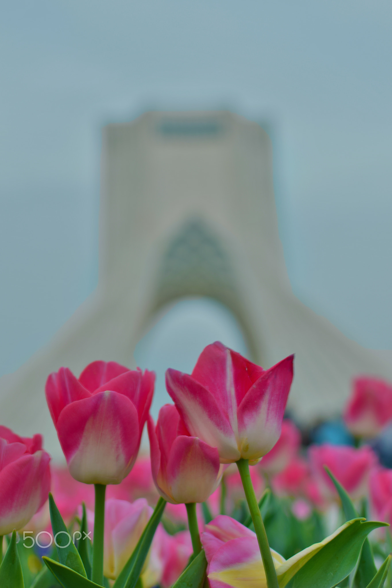 Azadi Tower