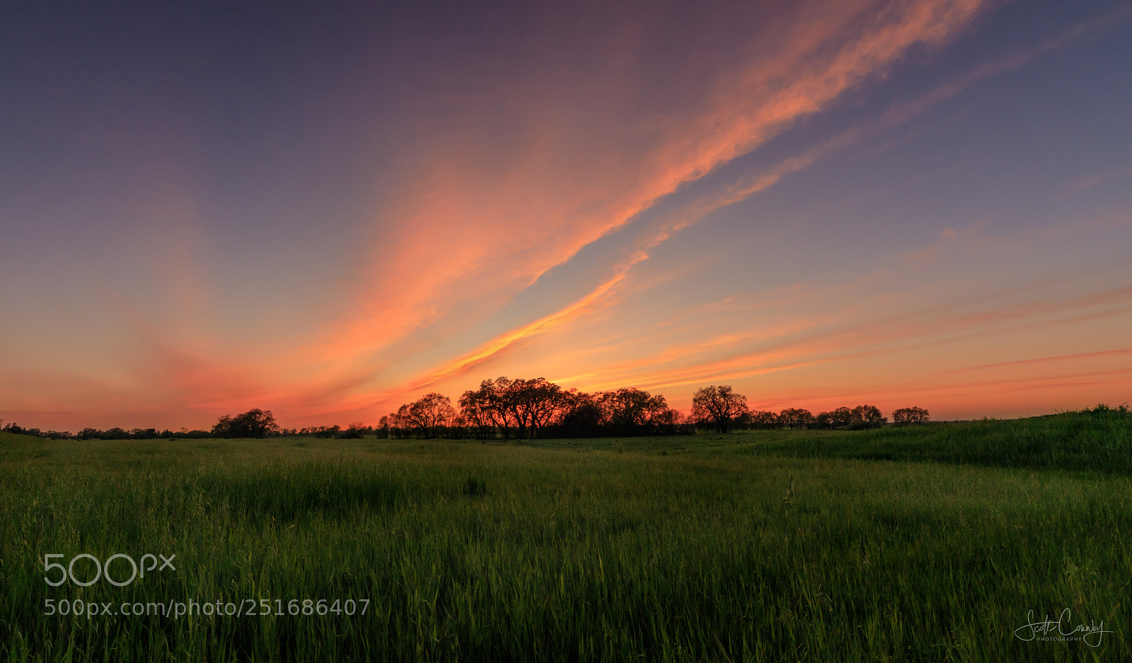 Canon EOS 5D Mark IV sample photo. Garden highway sunset photography