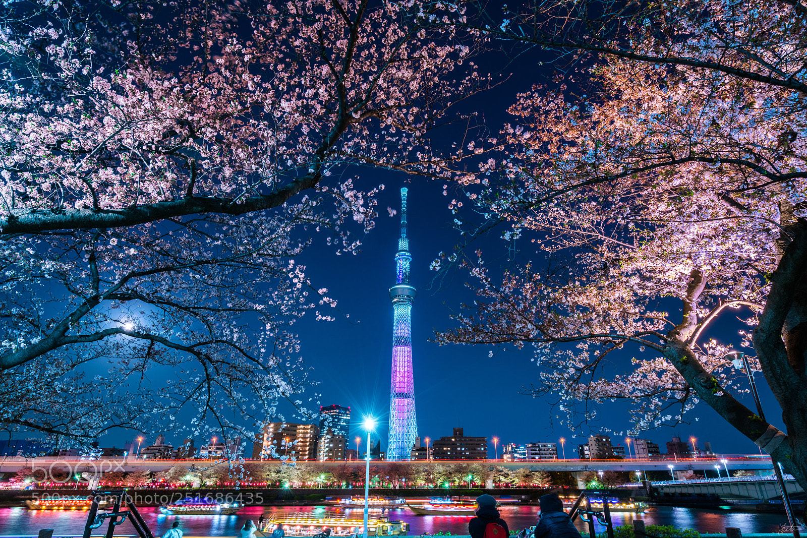Sony a7R II sample photo. Skytree in springtime photography
