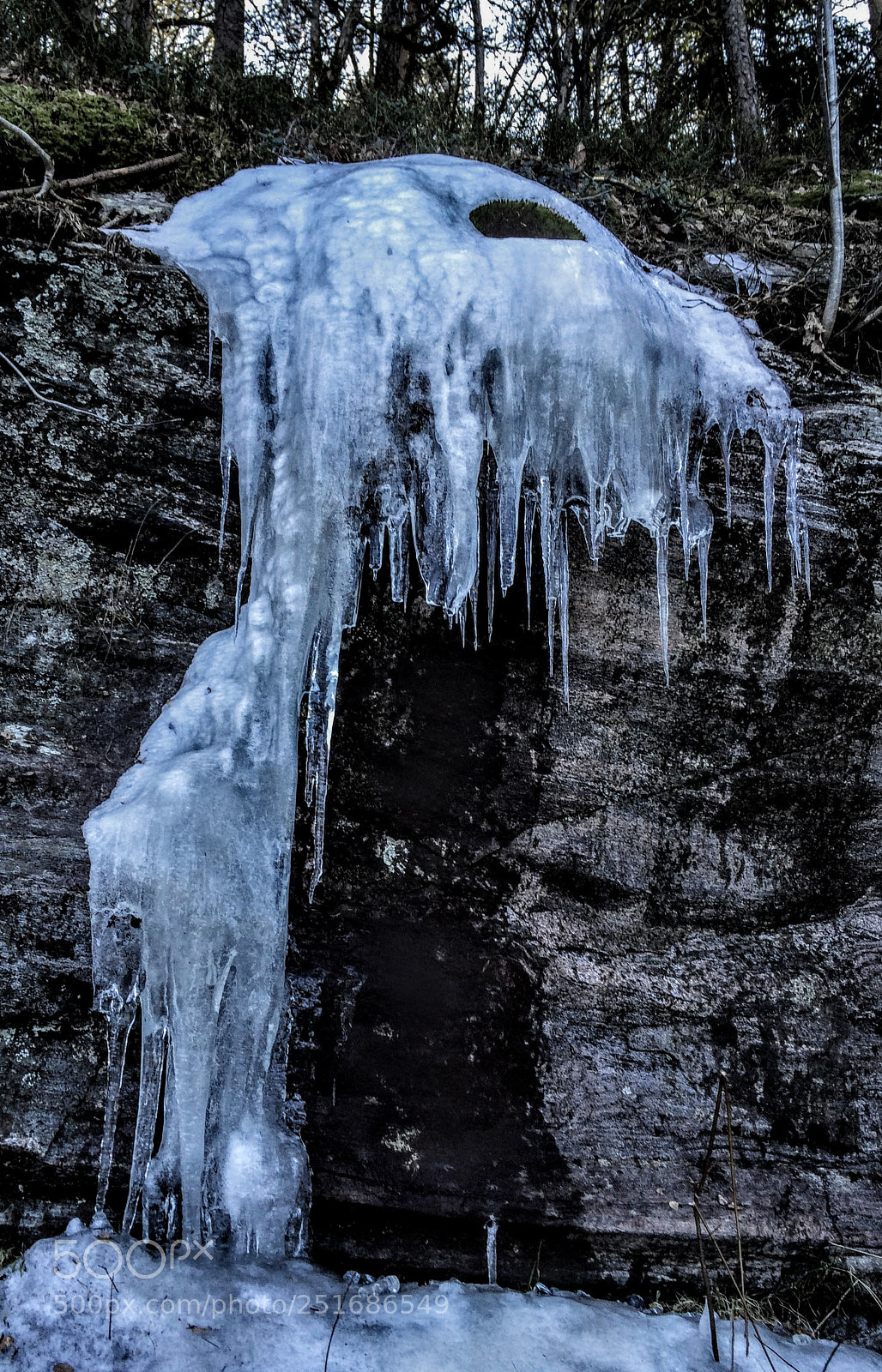Apple iPhone 5s sample photo. Strange catlike iceage creature photography