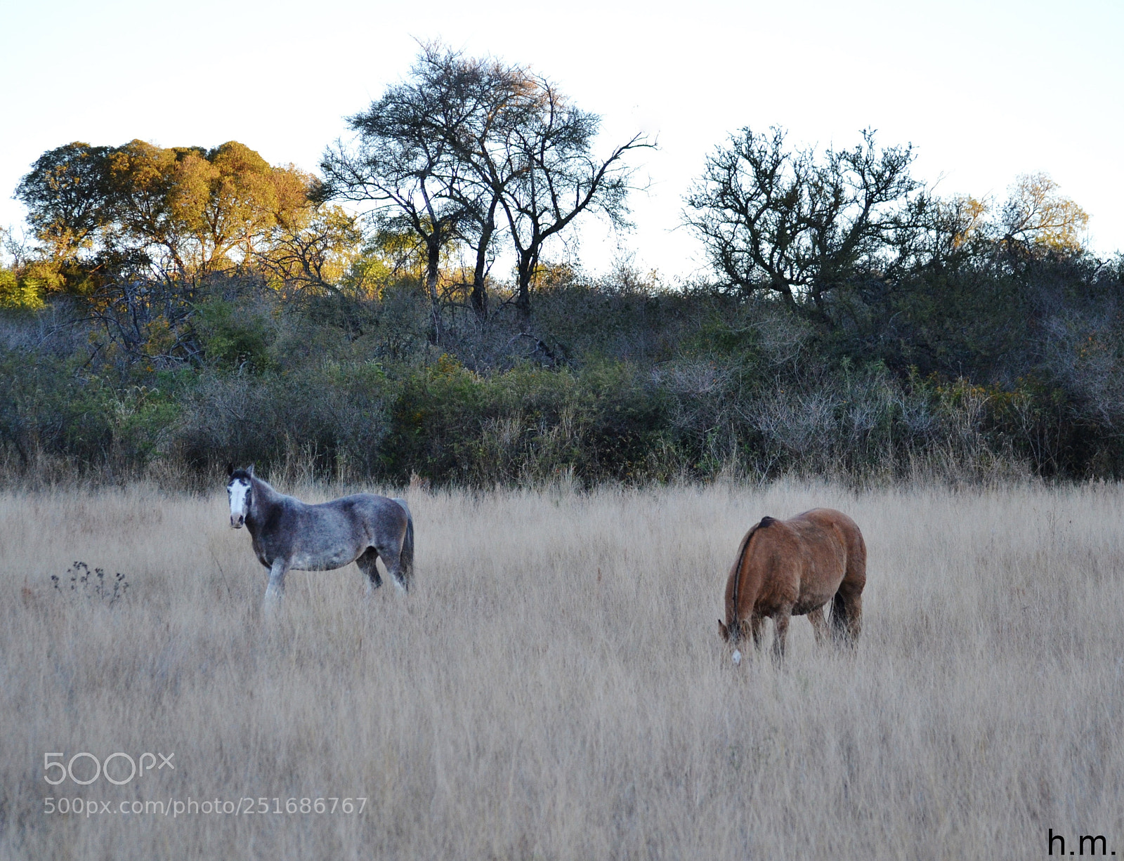 Nikon D3100 sample photo. Eb o photography
