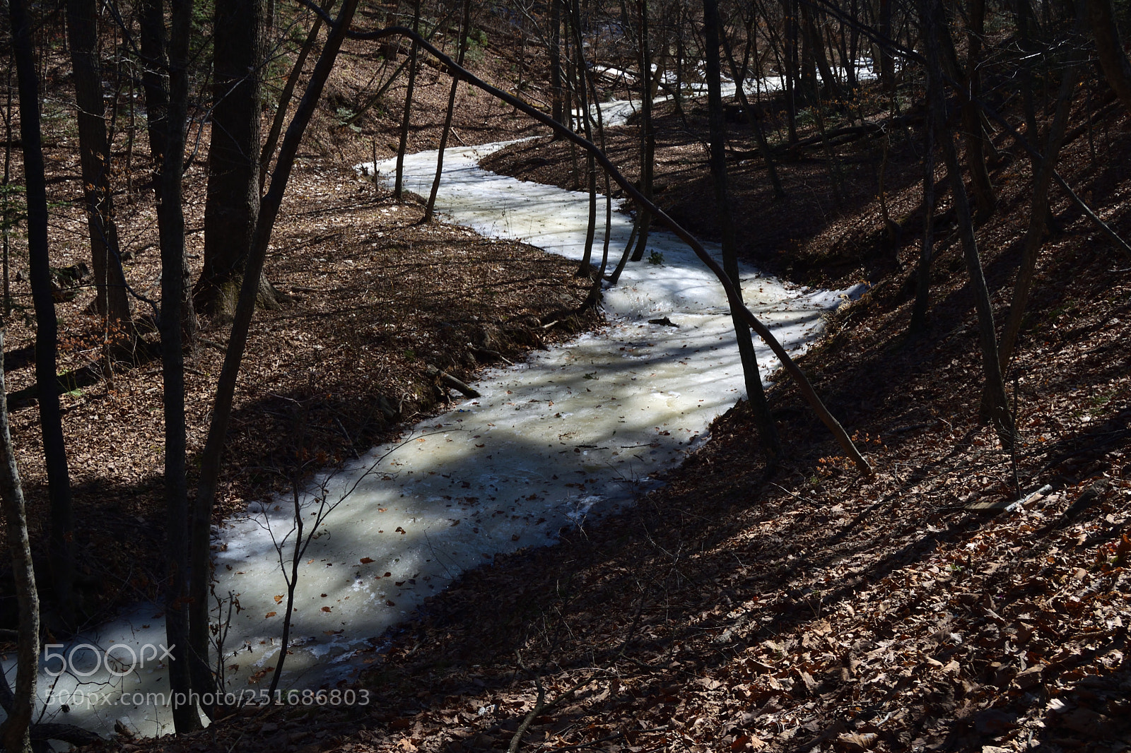 Nikon D3300 sample photo. Bends of the channel photography