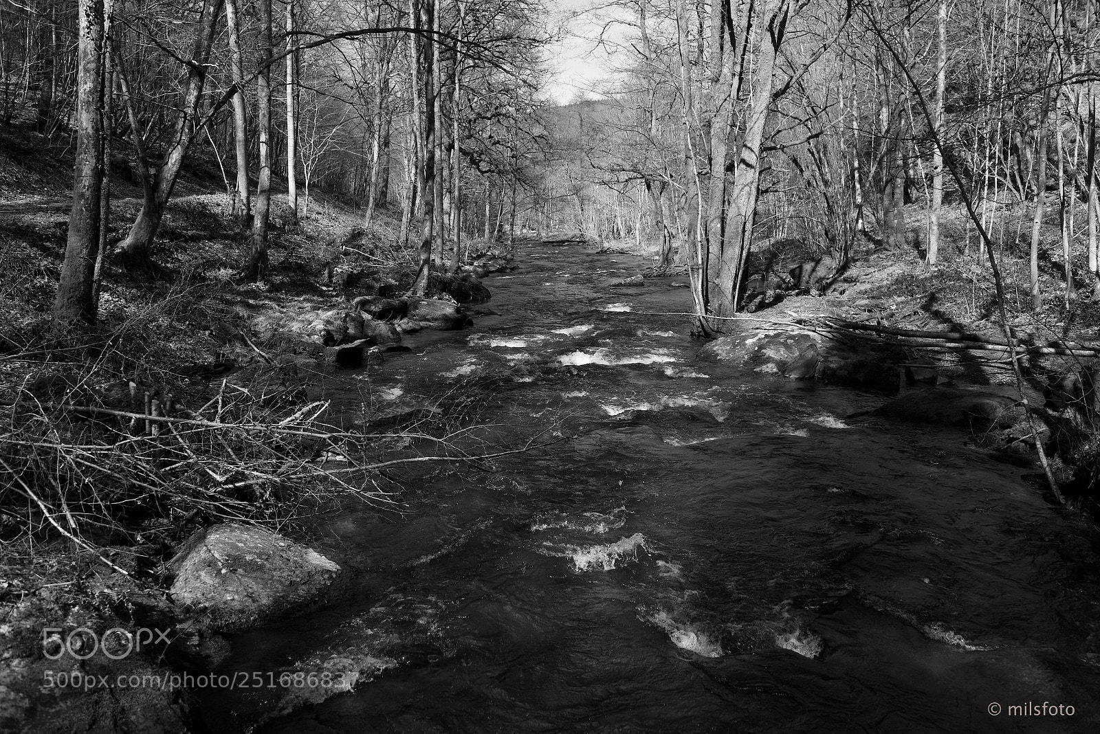 Nikon D810 sample photo. La houille vincimont 3 photography