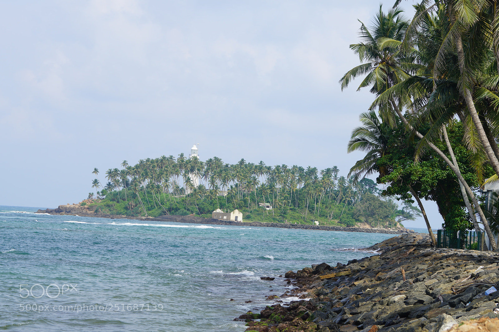 Sony a99 II sample photo. Untitled photography