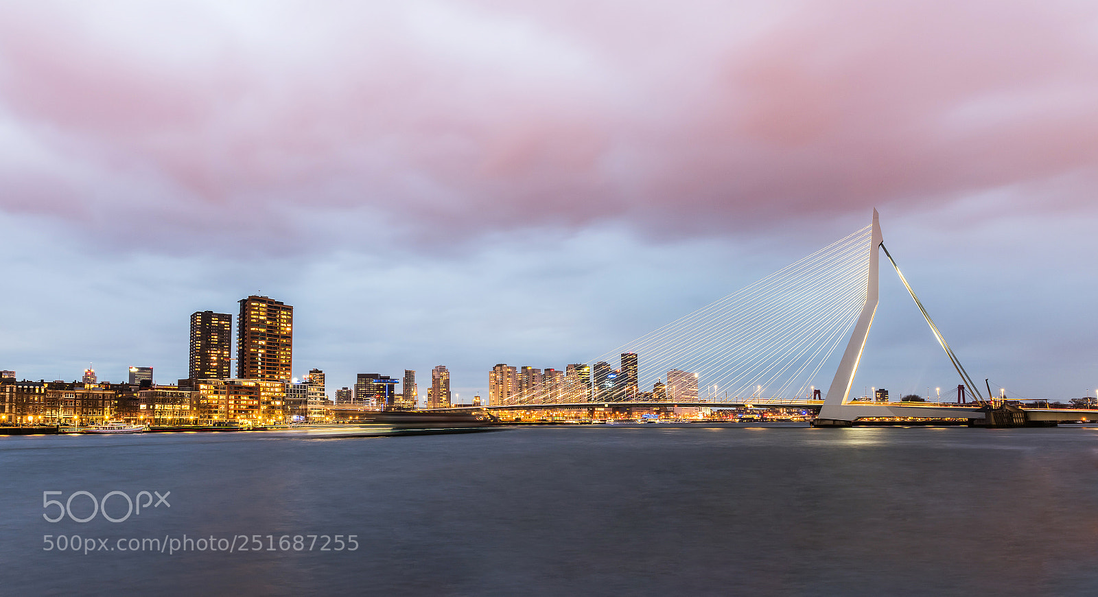 Nikon D810 sample photo. Rotterdam erasmus bridge photography