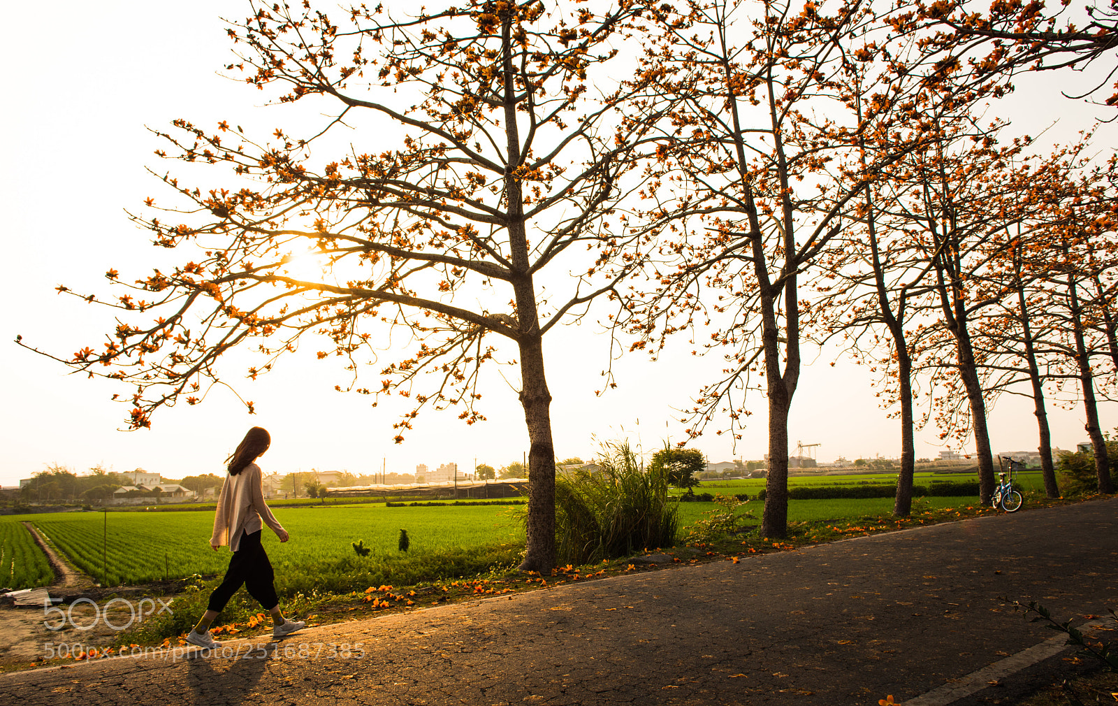 Nikon D810 sample photo. Untitled photography