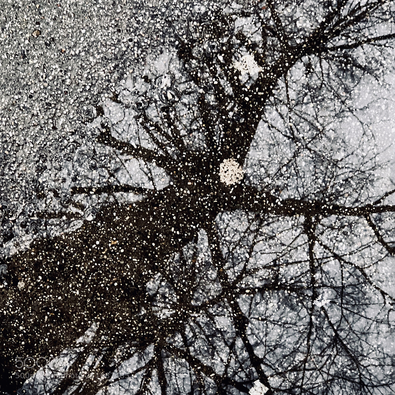 Apple iPhone 8 Plus sample photo. In the puddle photography