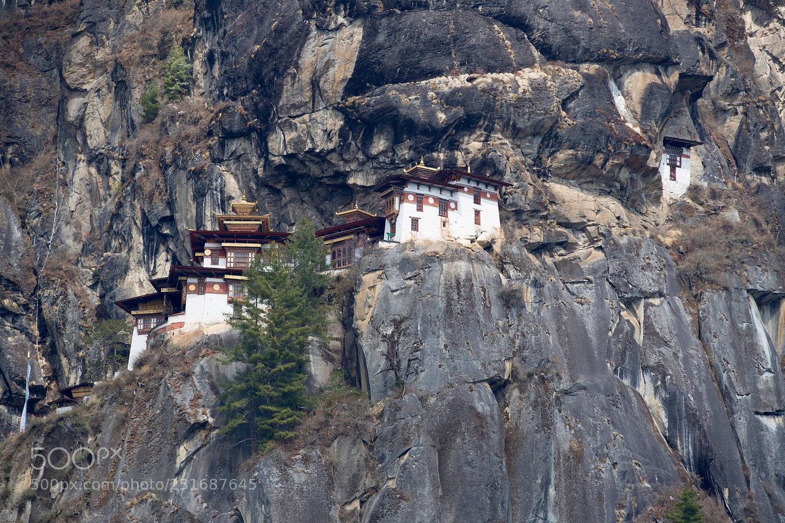 Canon EOS-1D X Mark II sample photo. Tiger's nest photography