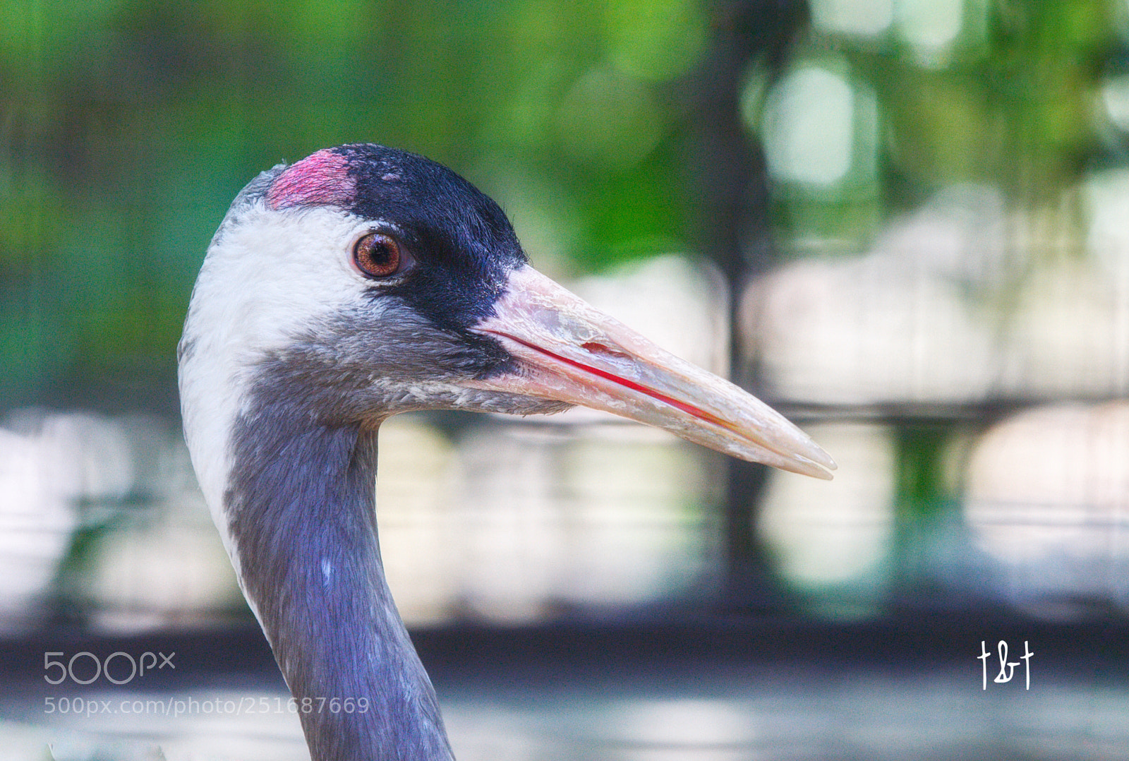 Canon EOS 7D sample photo. Untitled photography