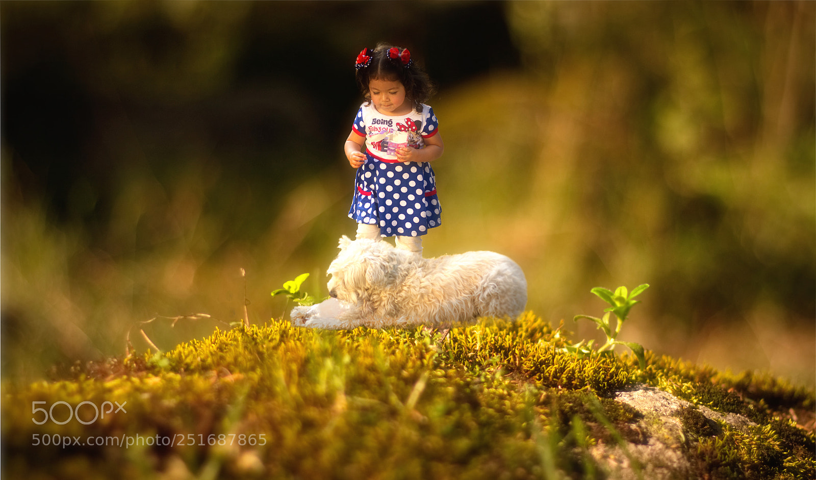 Canon EOS 760D (EOS Rebel T6s / EOS 8000D) sample photo. Ashly miniatura photography