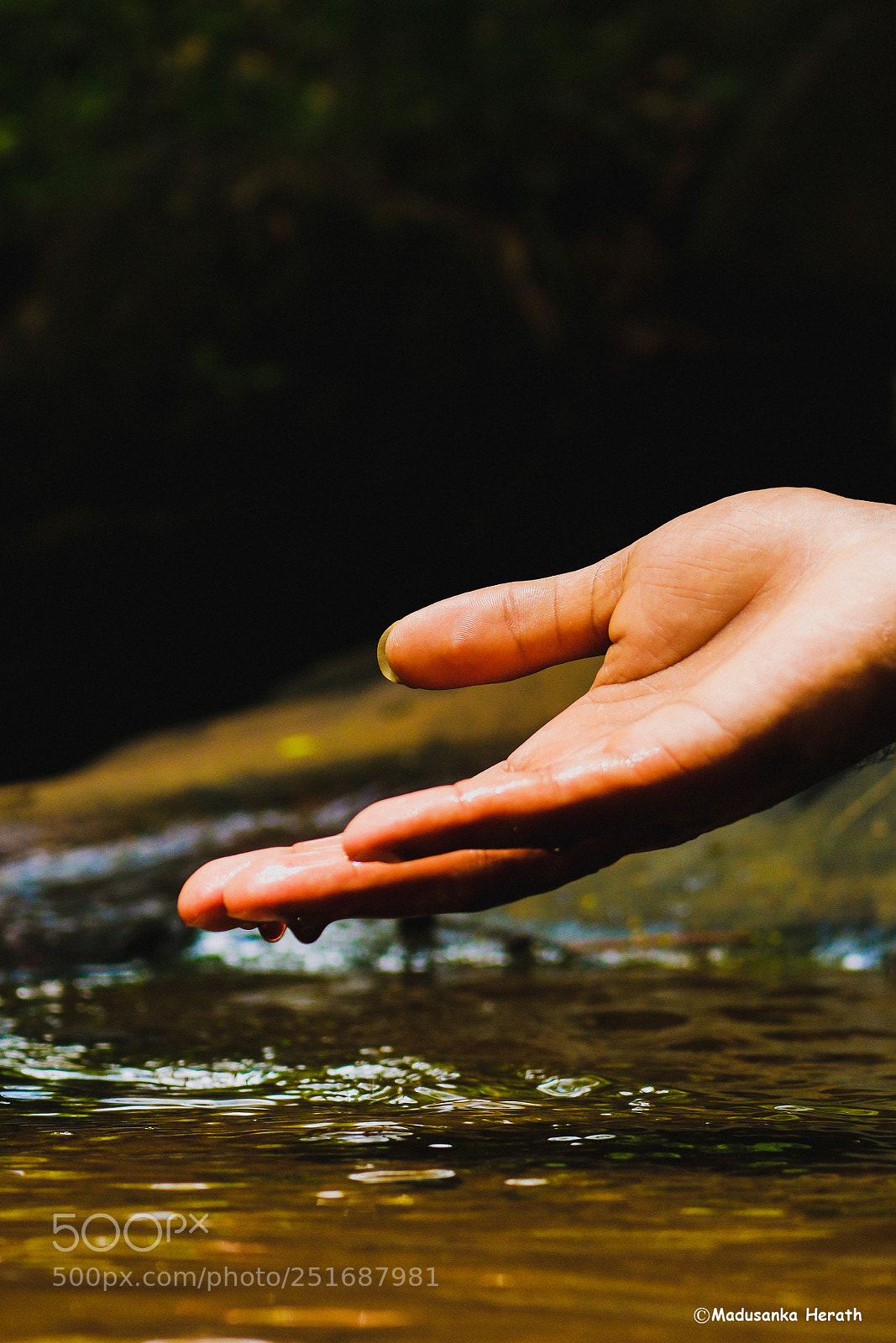 Canon EOS 70D sample photo. The hand photography