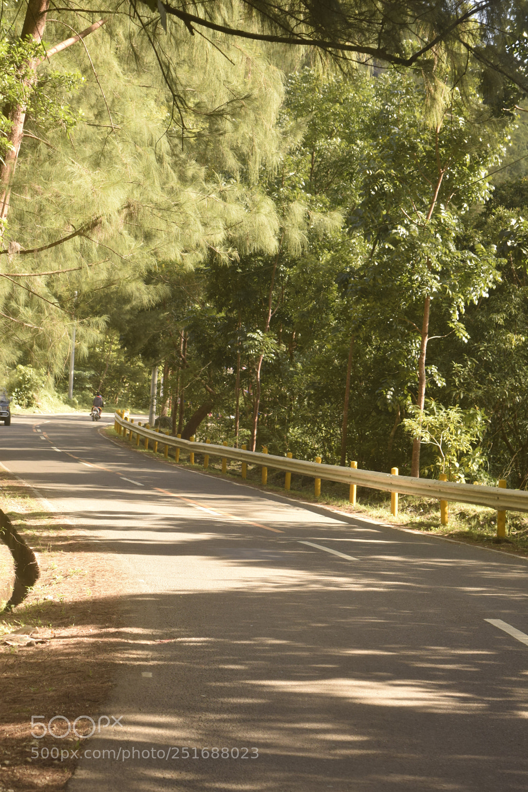 Nikon D3300 sample photo. Road photography