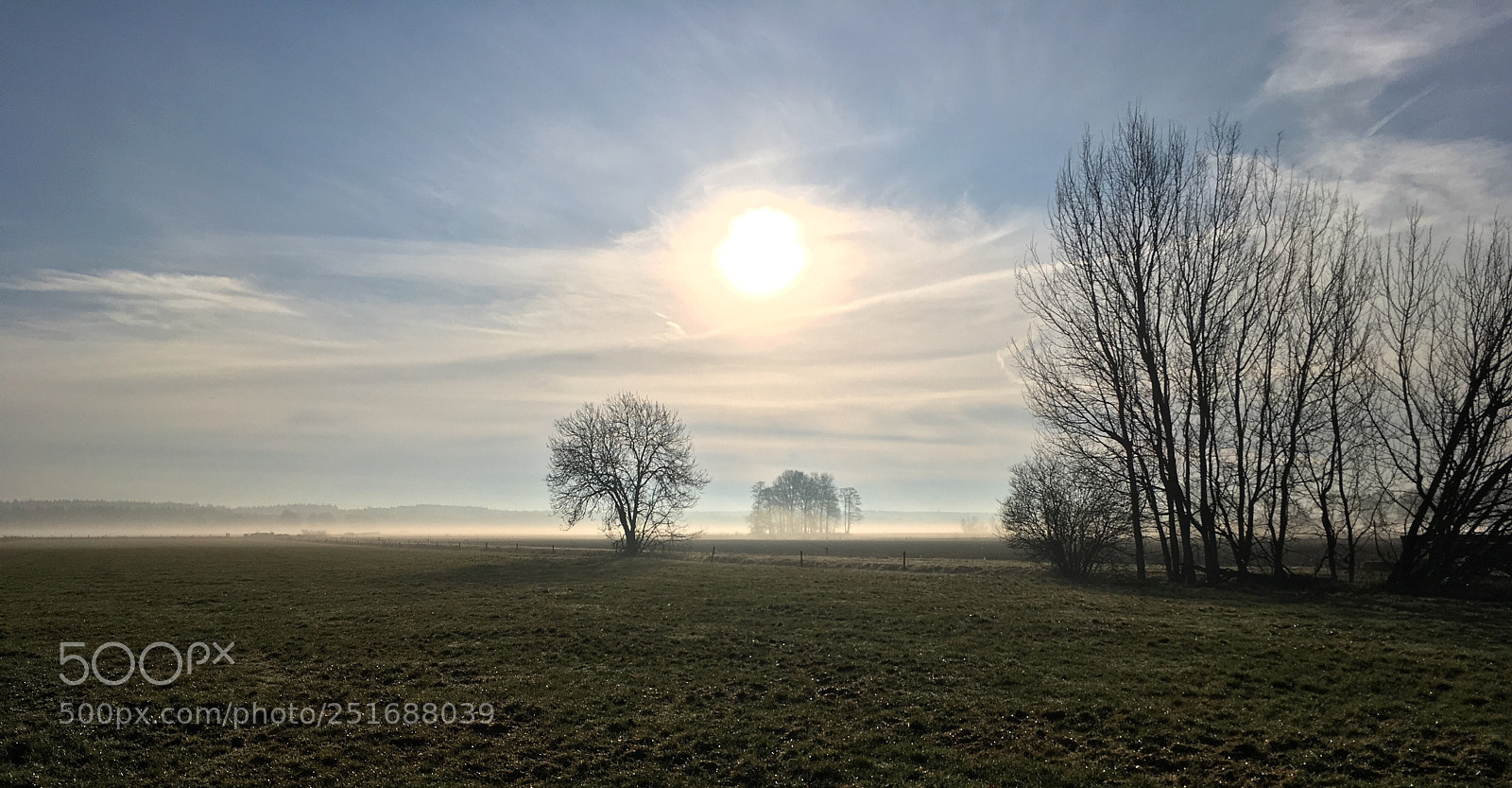 Apple iPhone SE sample photo. The sweet morning fog photography