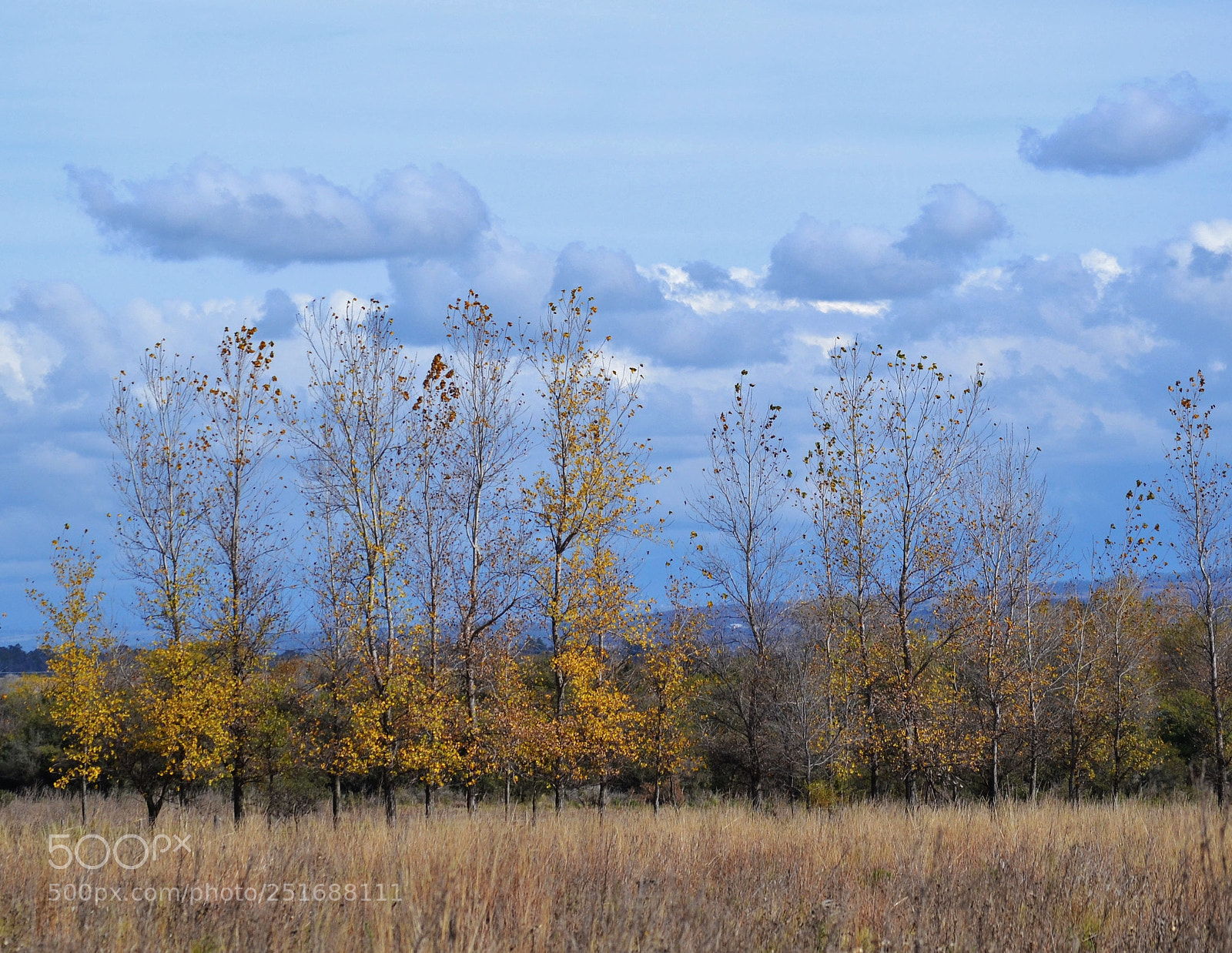 Nikon D3100 sample photo. Ecfo photography