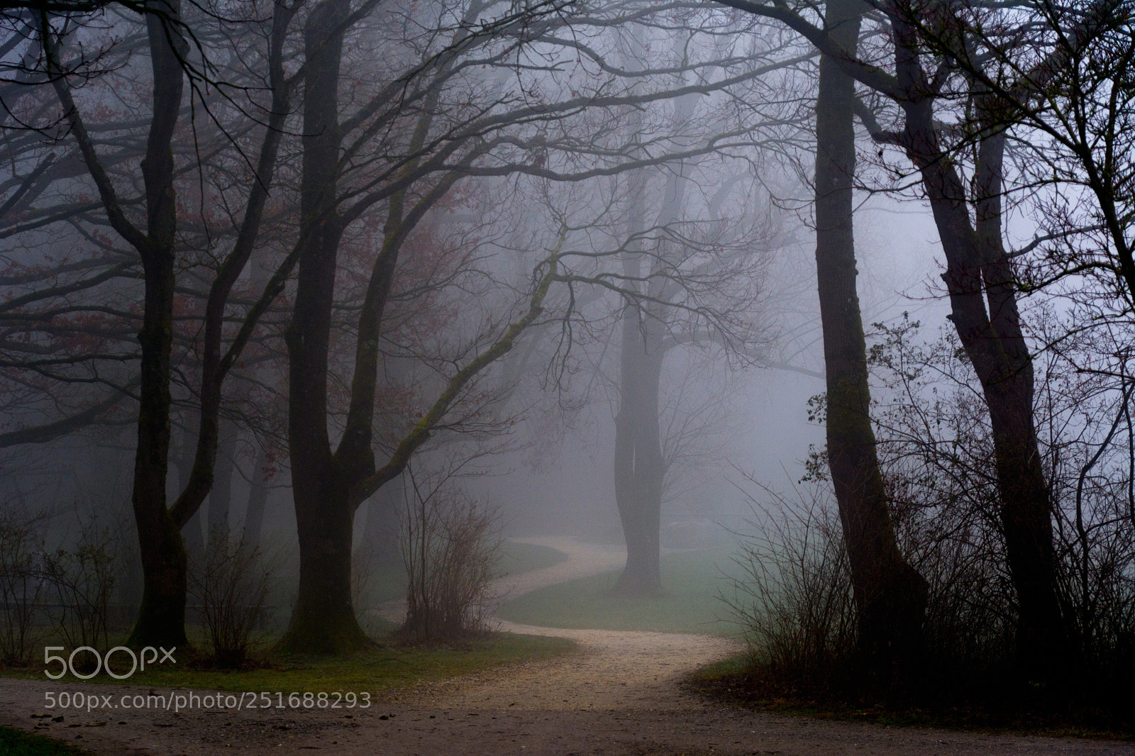 Nikon D7100 sample photo. Winding road photography