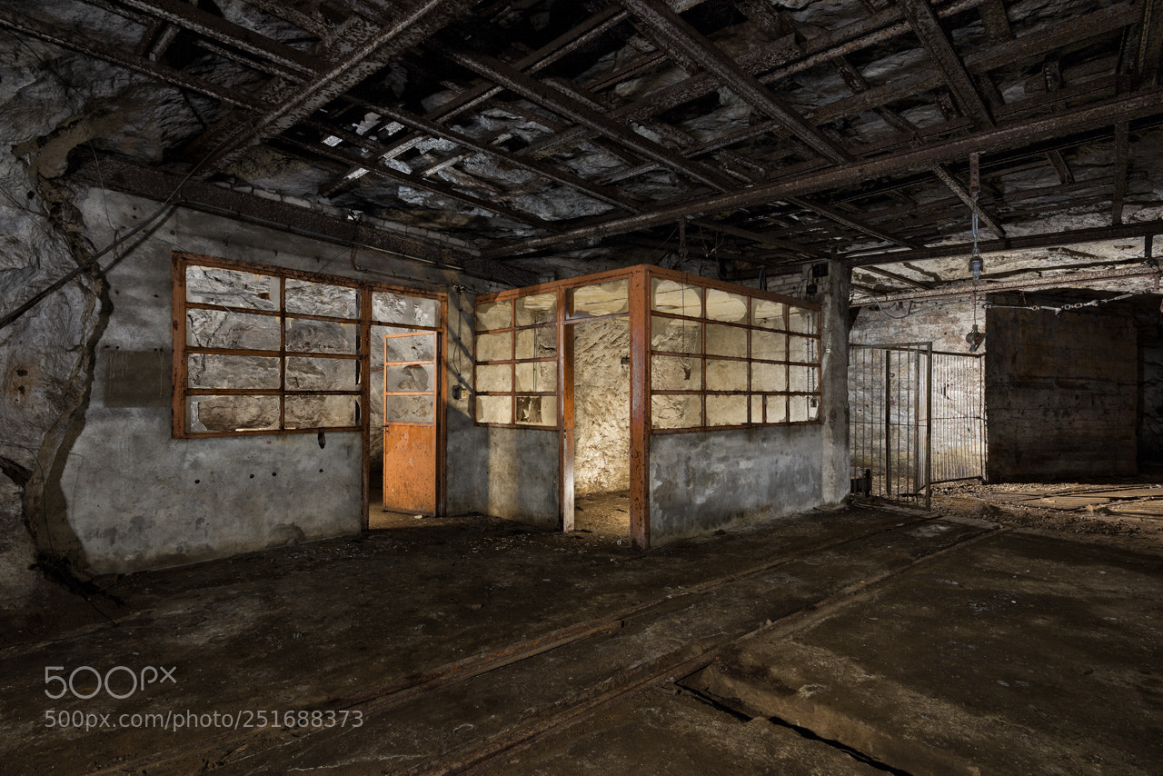 Nikon D600 sample photo. Reception train repair photography