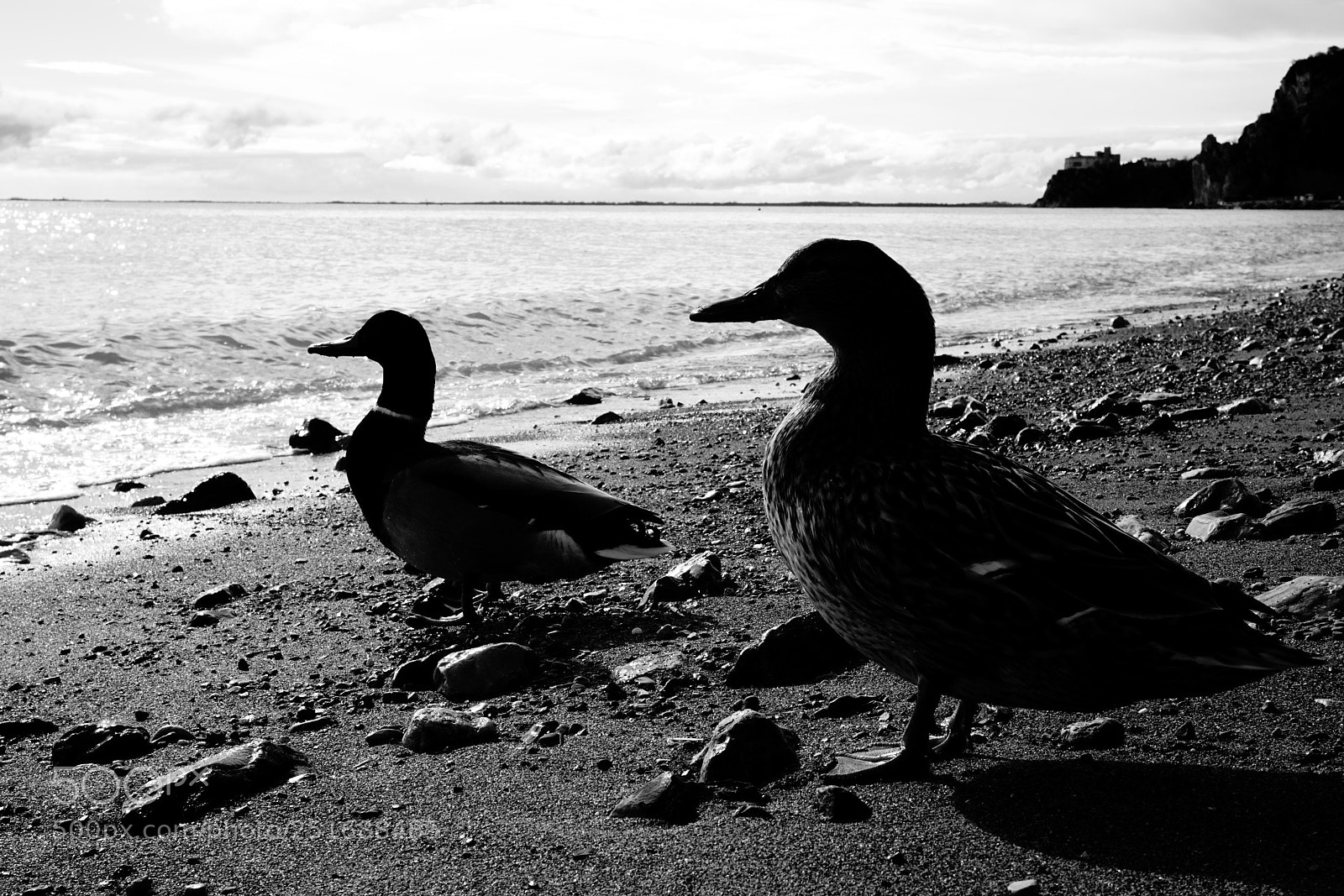 Sony a6000 sample photo. Admiration photography