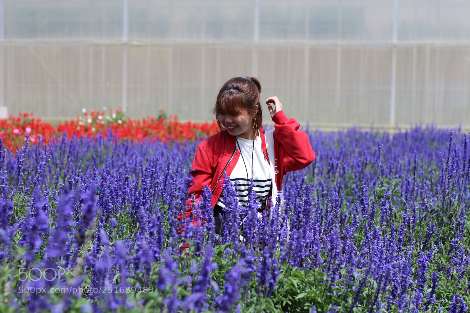 Canon EOS 700D (EOS Rebel T5i / EOS Kiss X7i) + Canon EF 50mm F1.8 STM sample photo. Img photography