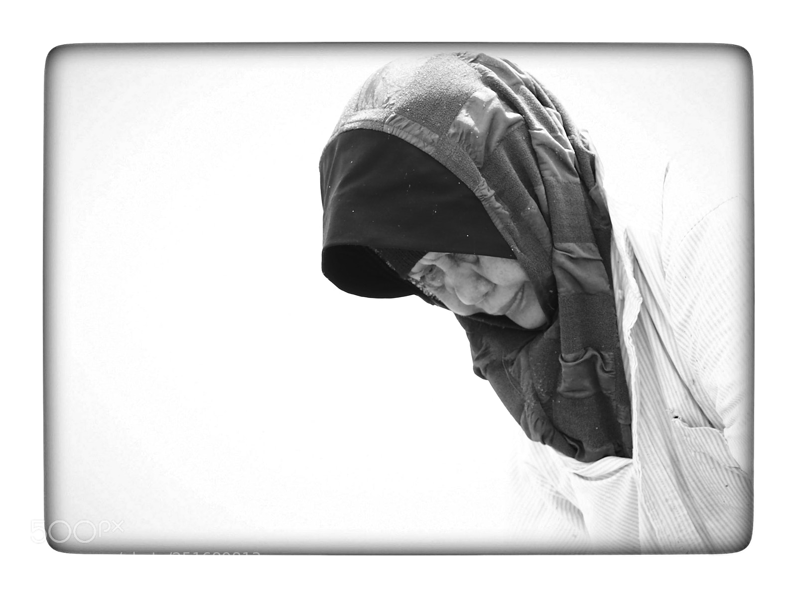 Olympus PEN E-PL7 sample photo. Oyster harvester #01 photography