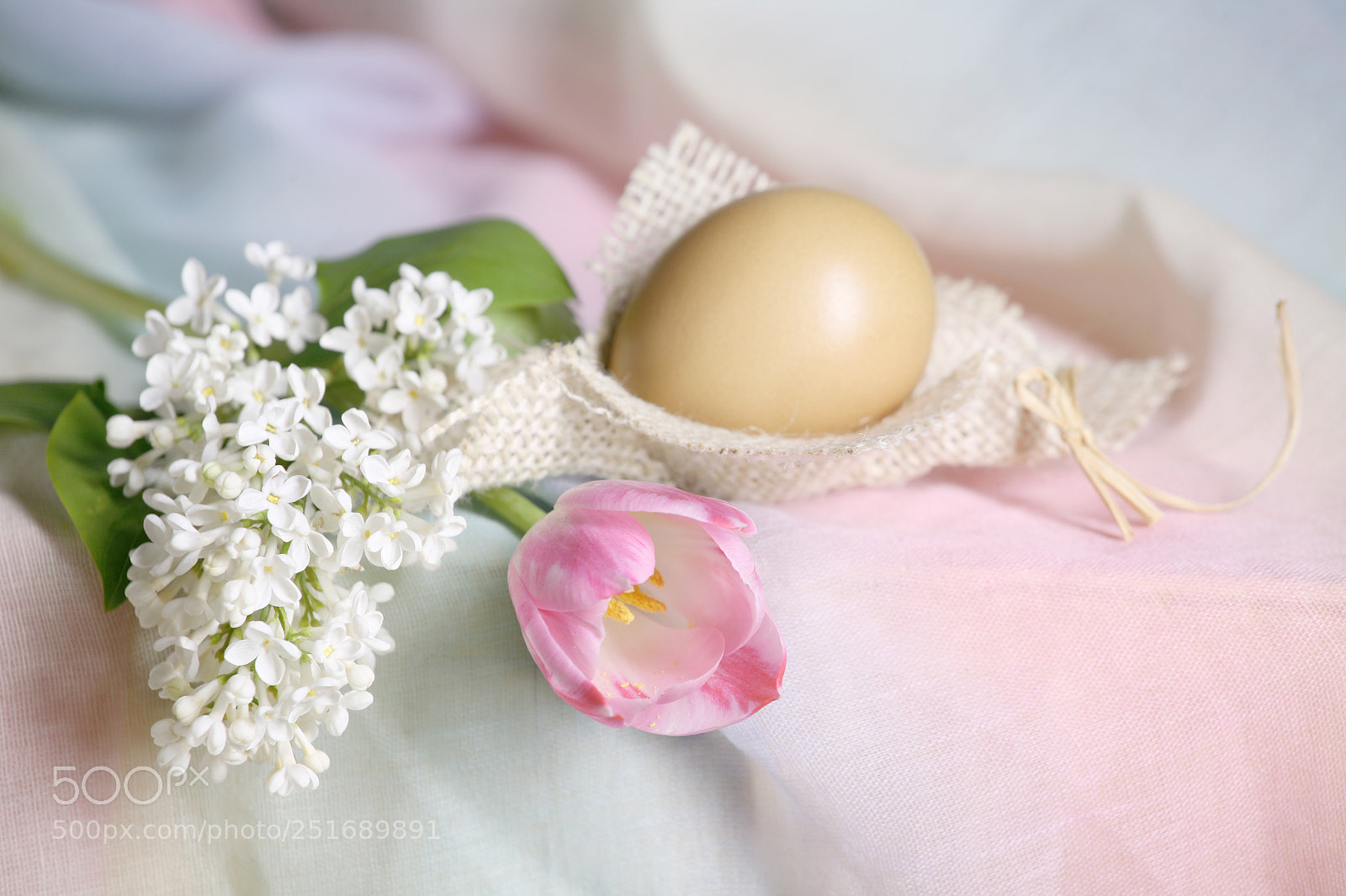 Canon EOS 5D sample photo. - photography